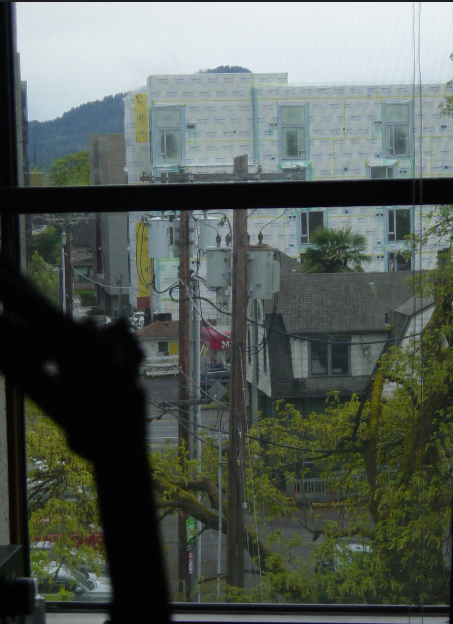 outside my window